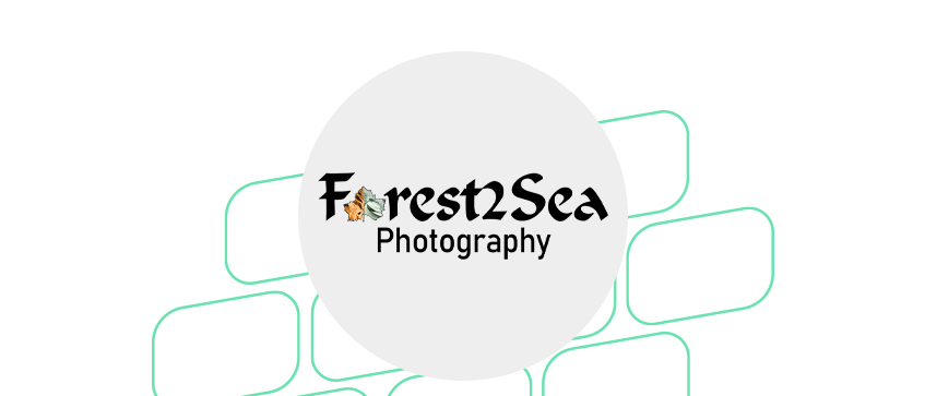 real estate photographers