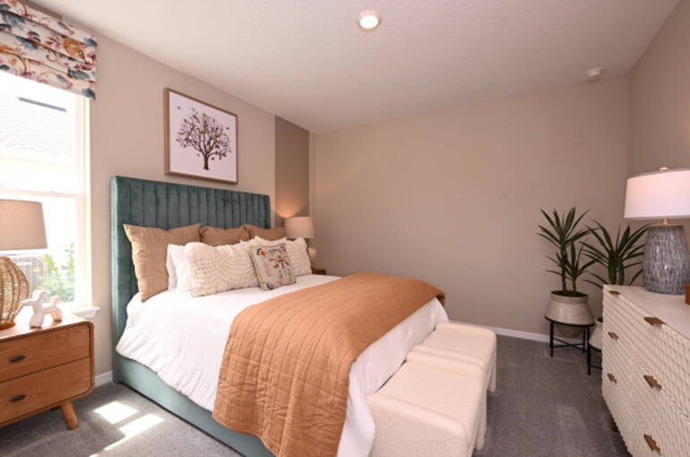 Before: Original Image